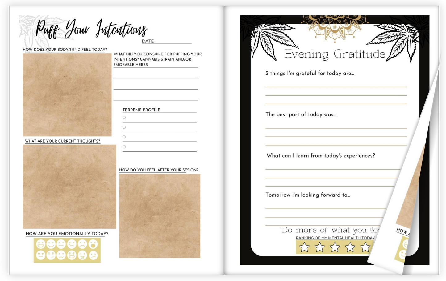 PRE-ORDER: Puff Intentions Gratitude Journal 6x9